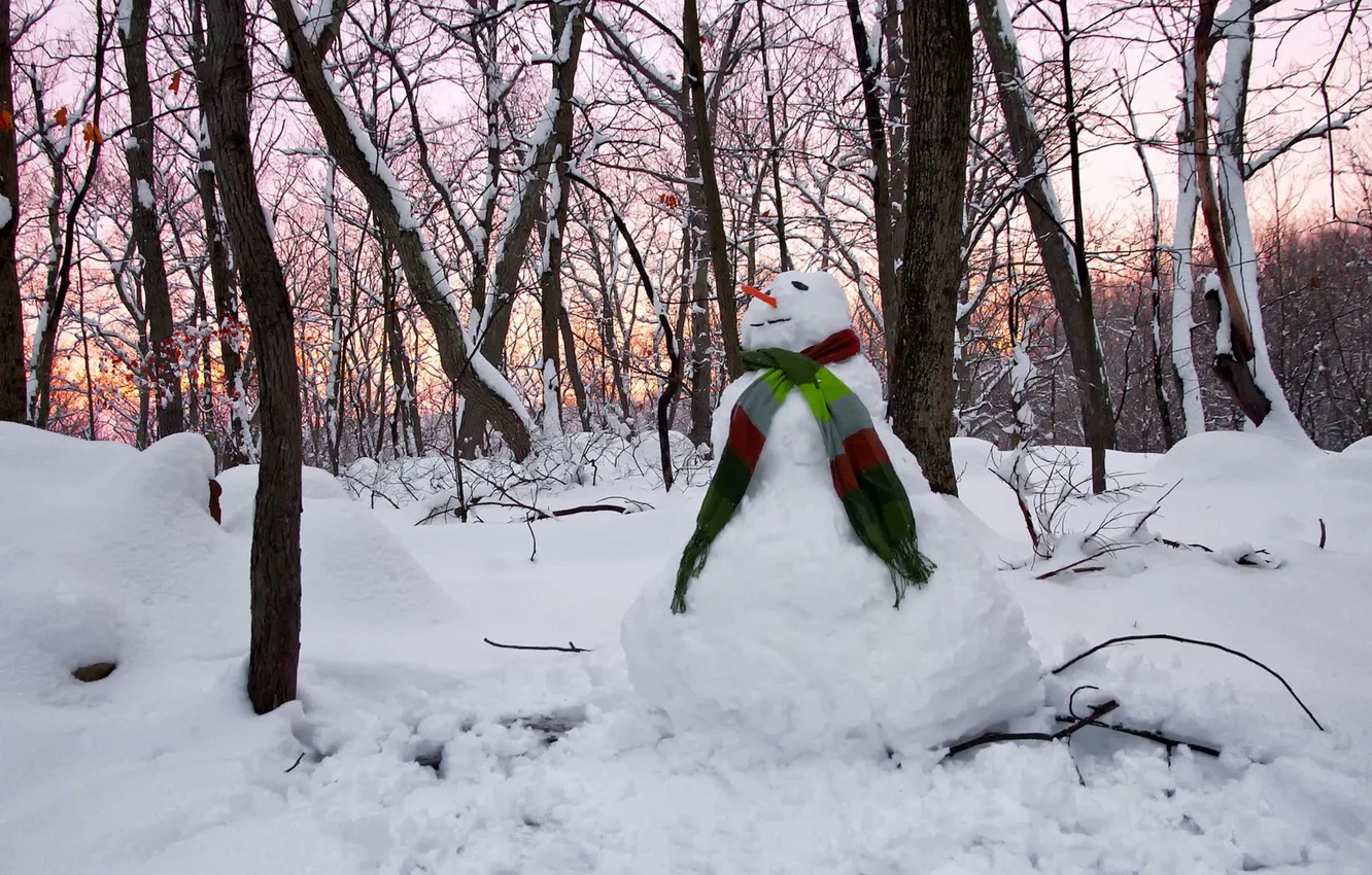 Фото обои зима, Sunset, Snowman