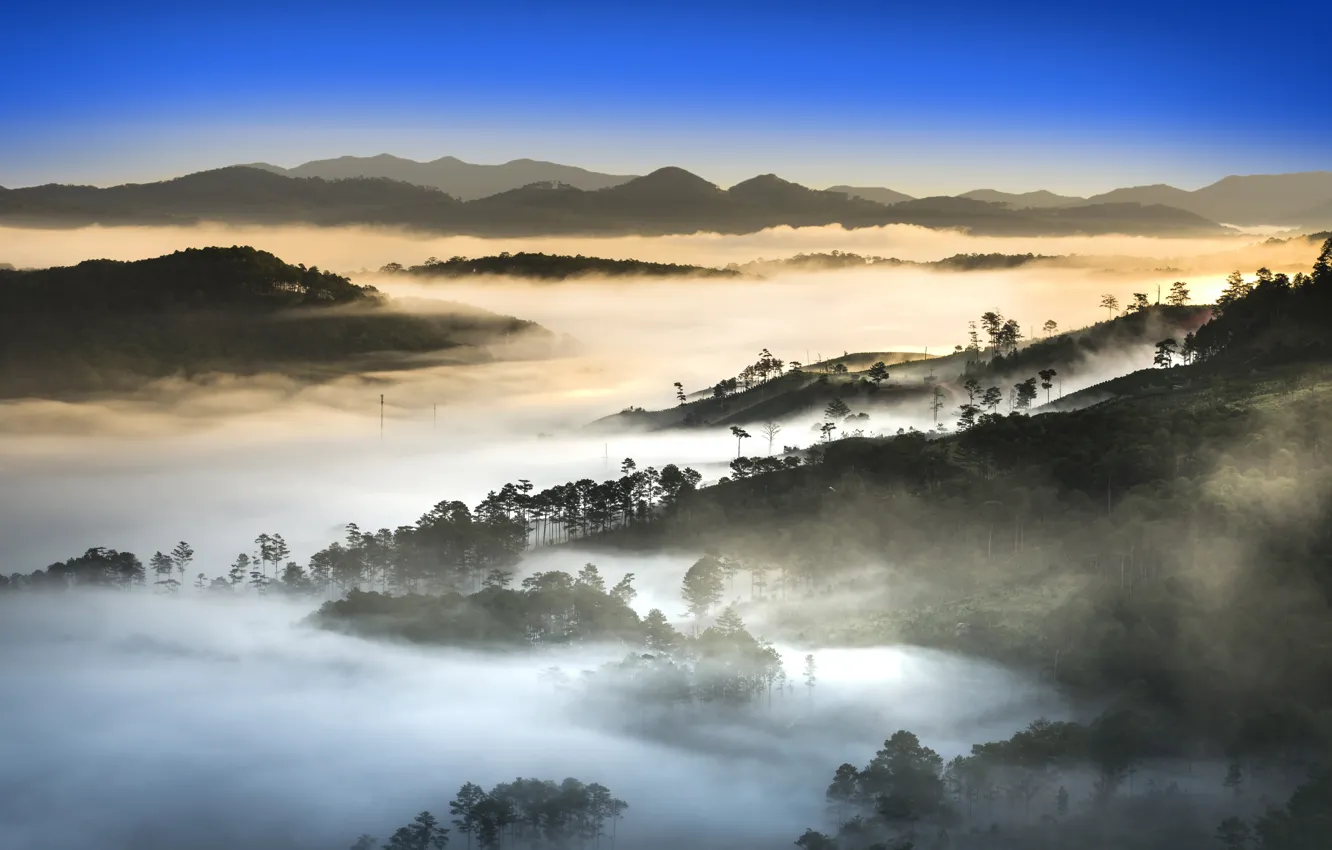 Фото обои деревья, горы, туман, Вьетнам