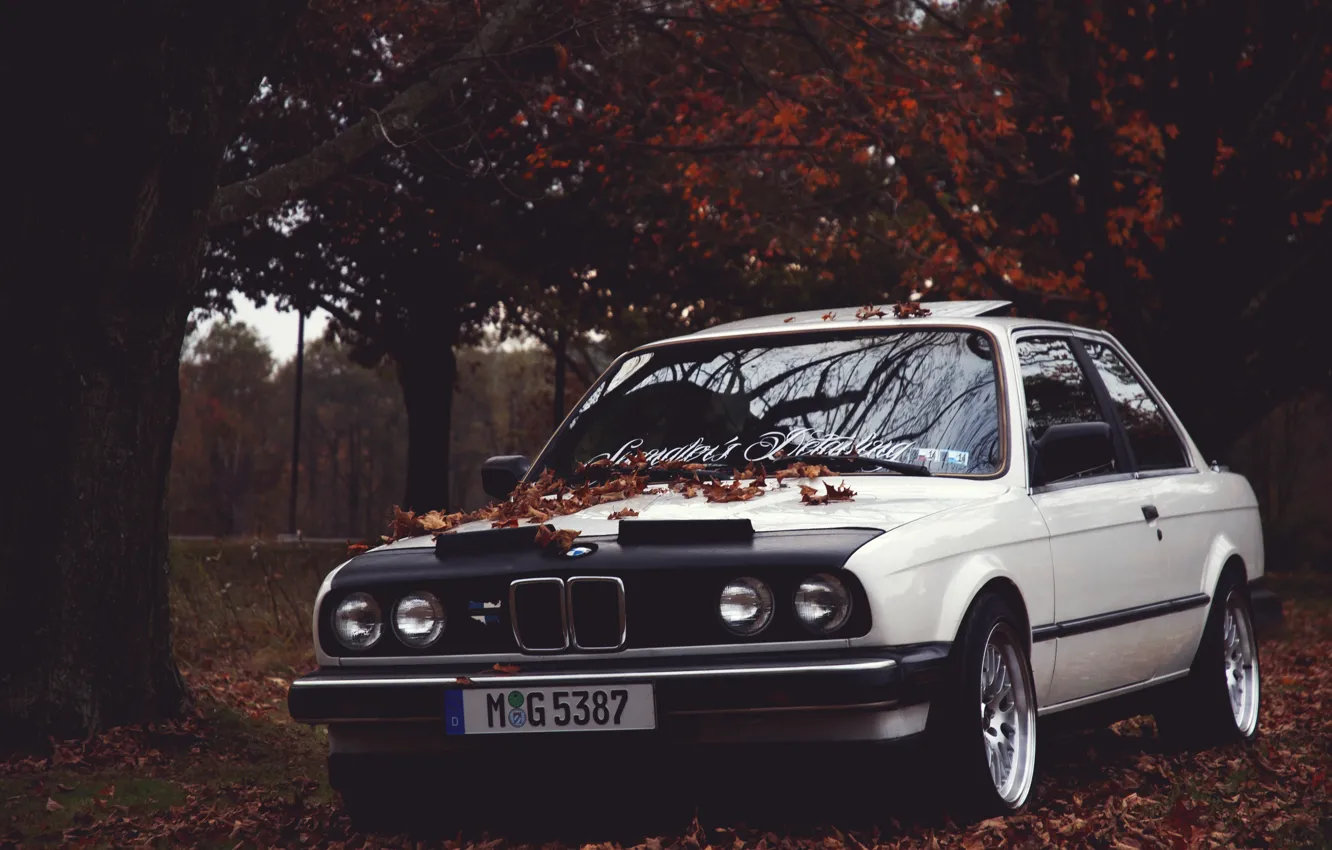 Фото обои осень, листья, бмв, BMW, E30, Stance