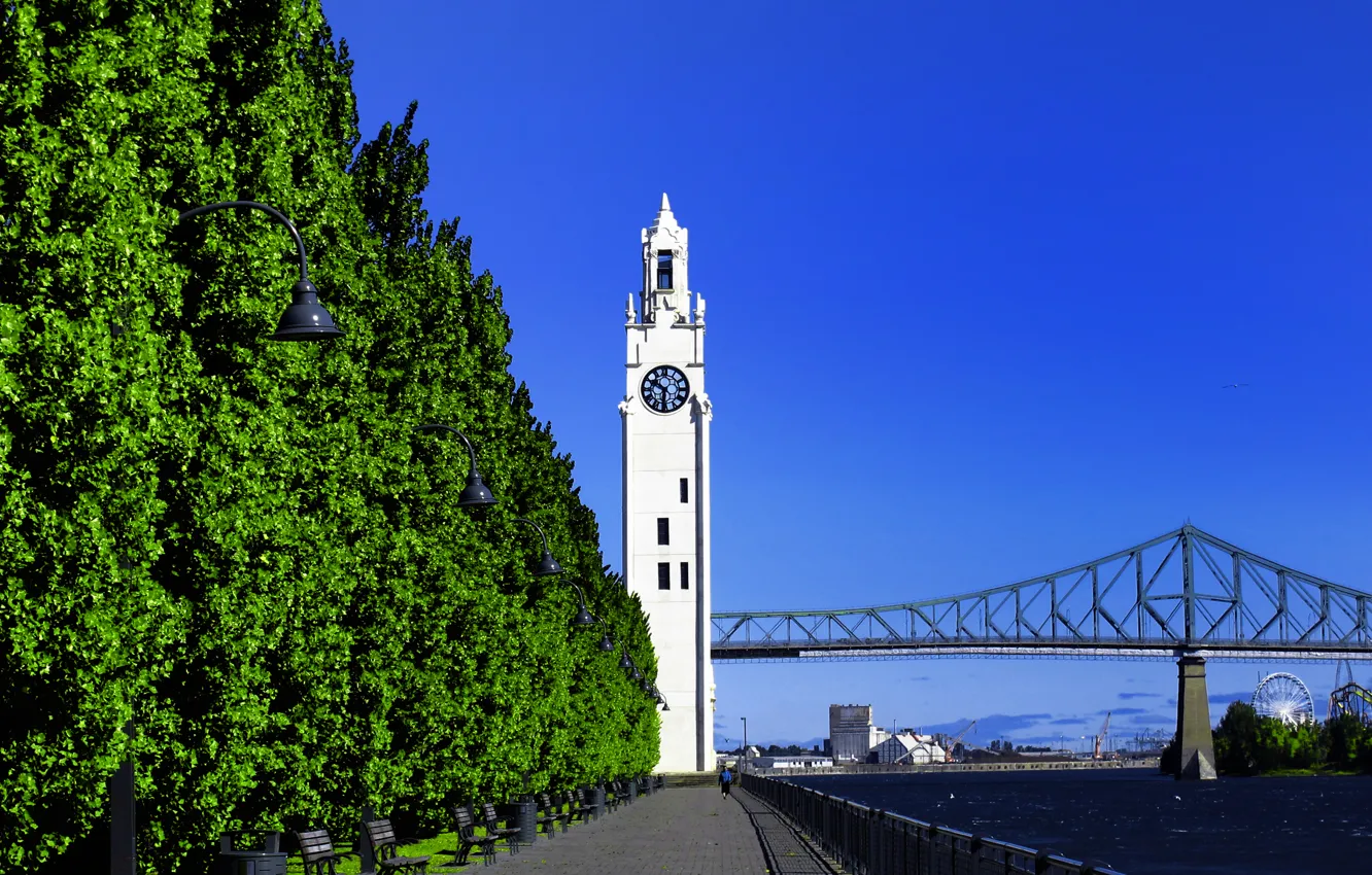Фото обои небо, деревья, мост, часы, башня, порт, Монреаль, Montreal