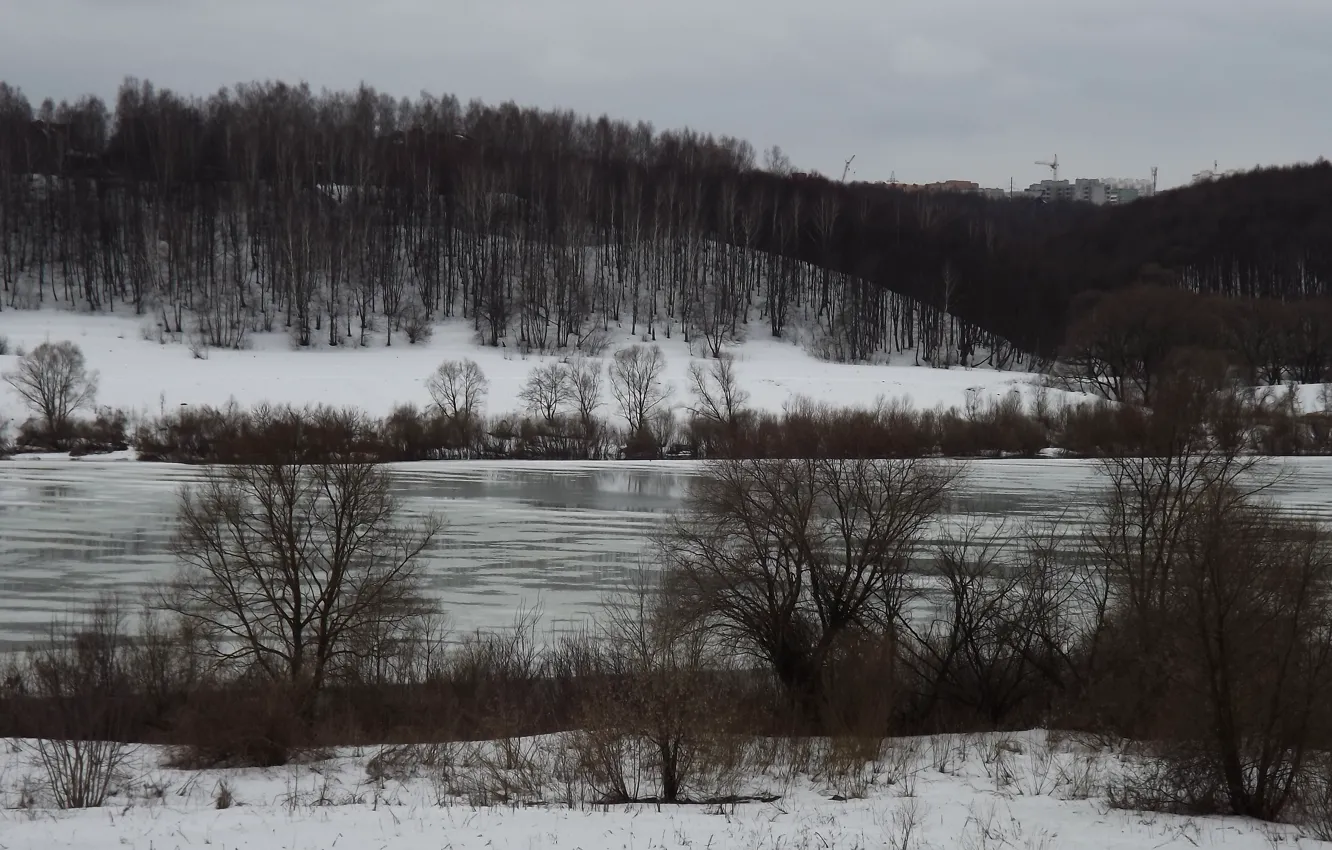 Фото обои снег, деревья, лёд, весна, Ока, Калуга