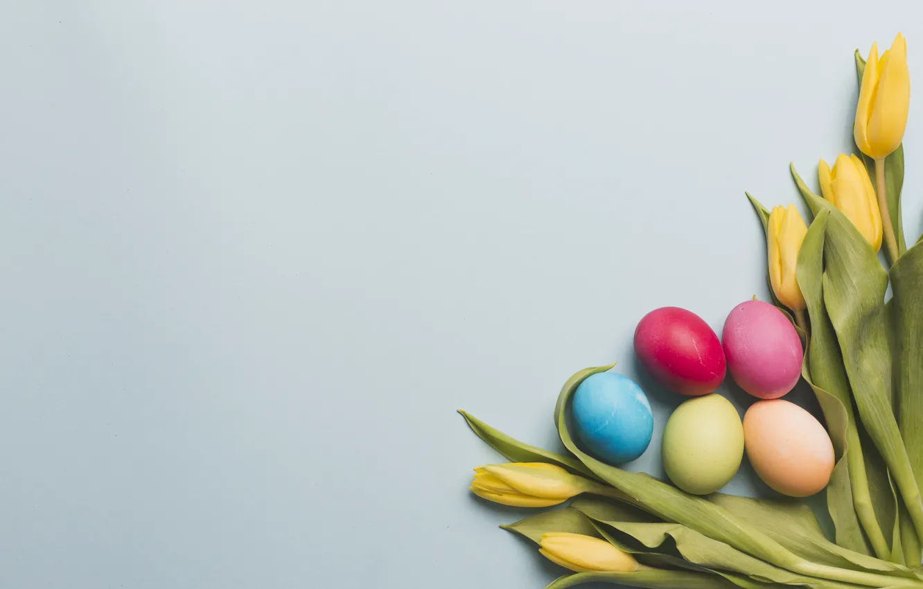 Фото обои Весна, Тюльпаны, Пасха, Яйца, Праздник