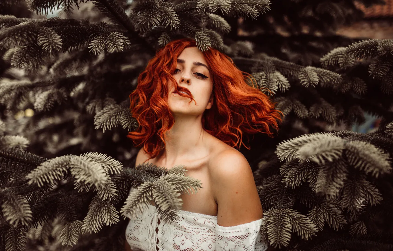 Фото обои рыжеволосая, ёлочки, иголочки, Holly Rose Stones