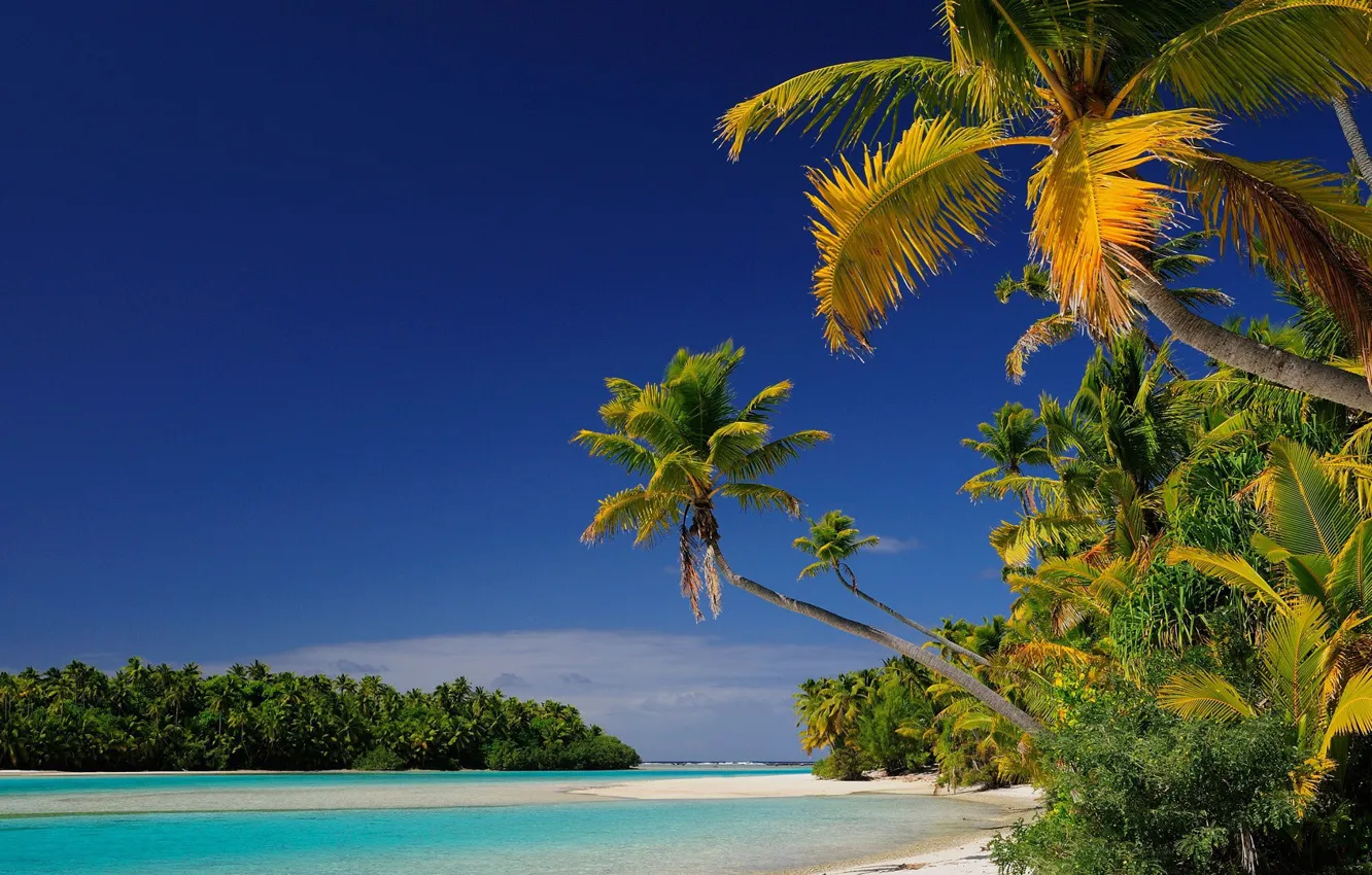 Фото обои пляж, острова, тропики, пальмы, лагуна, Океания, Cook Islands, Aitutaki atoll