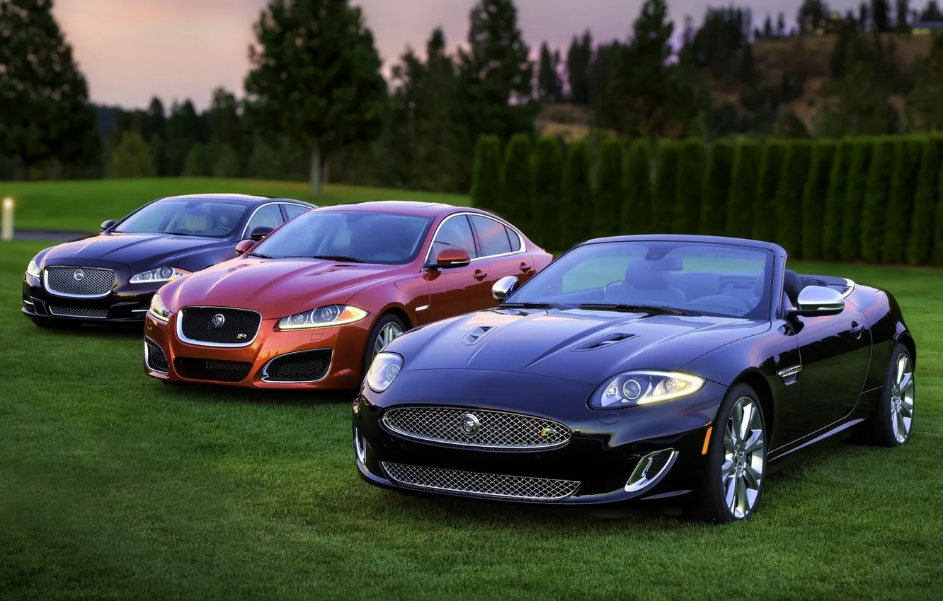 Фото обои трава, деревья, фон, Jaguar, Ягуар, передок, ИксЭф, ИксДжей