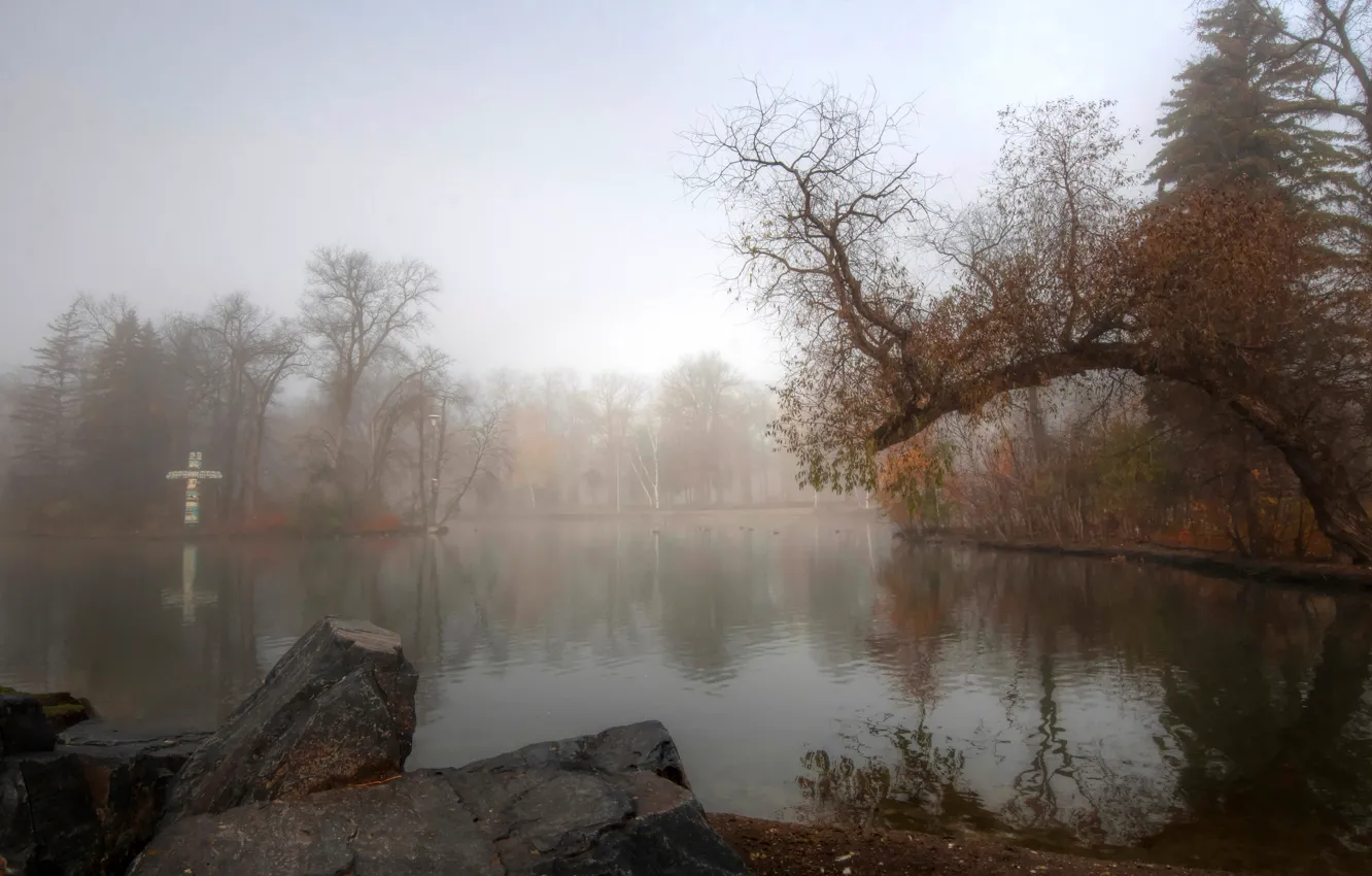 Фото обои осень, деревья, туман, пруд, парк, камень