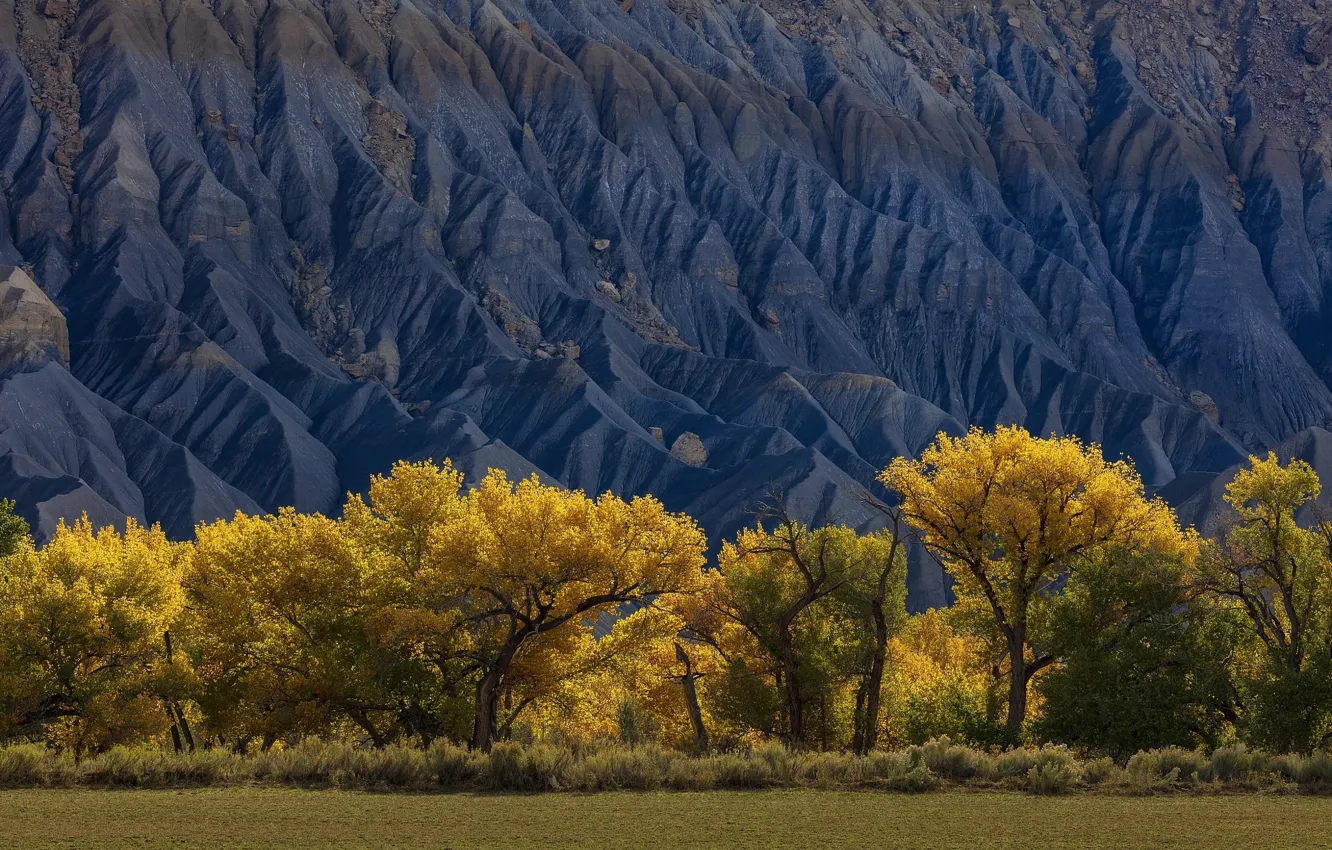Фото обои осень, деревья, горы, природа