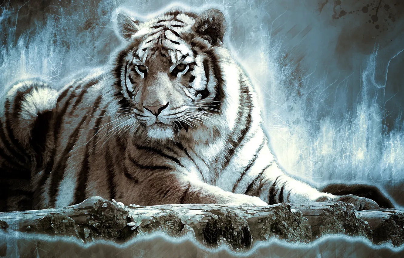 Фото обои тигр, рендеринг, животное, рисунок