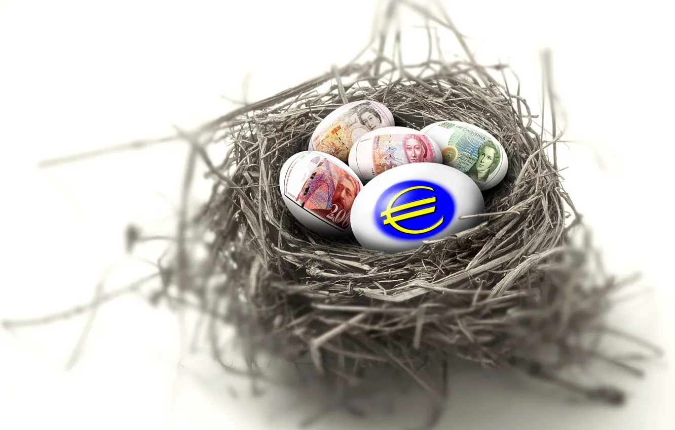 Фото обои гнездо, евро, валюта