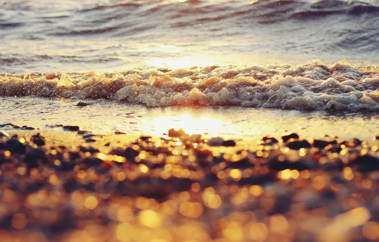 Фото обои вода, солнце, bokeh