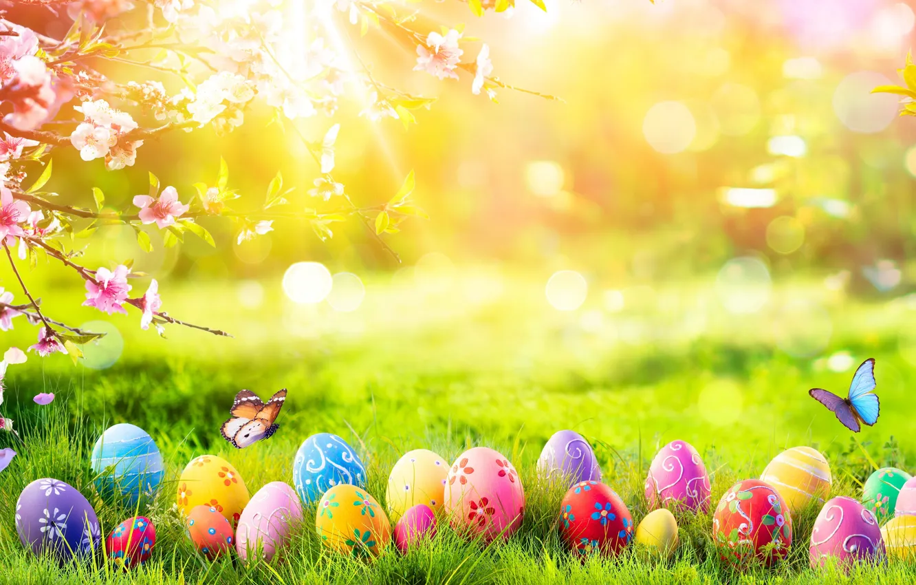 Фото обои цветы, яйца, весна, colorful, Пасха, happy, blossom, flowers