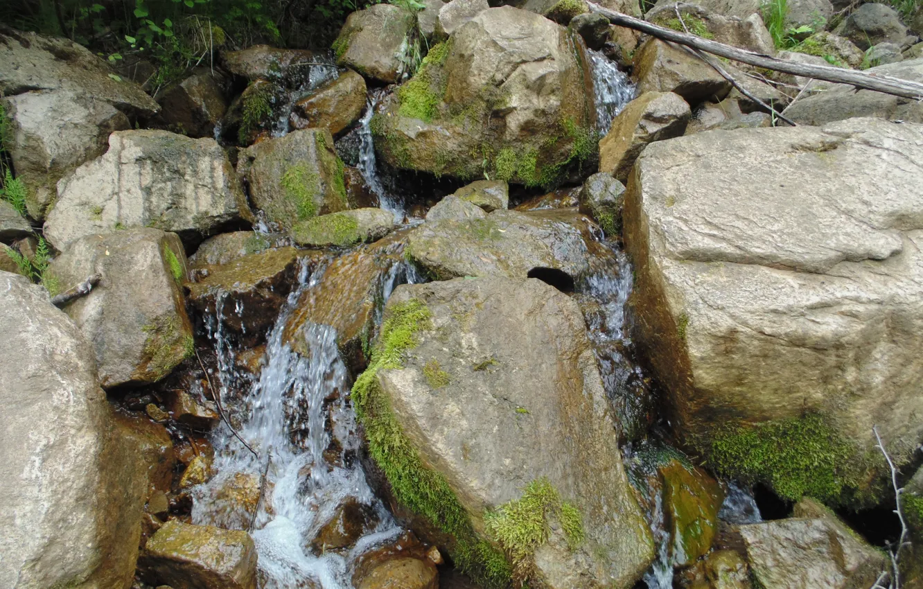 Фото обои камни, водопад, растения
