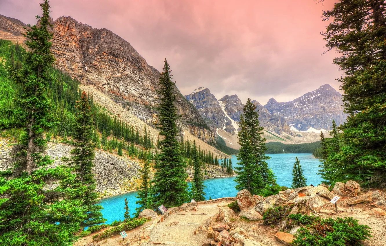 Фото обои деревья, горы, ели, Канада, Banff National Park, Canada, Moraine Lake, Valley of the Ten Peaks