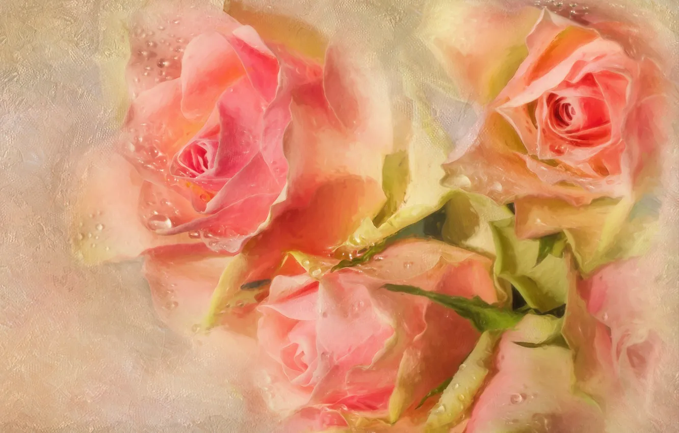 Фото обои розы, букет, розовые, фотоарт