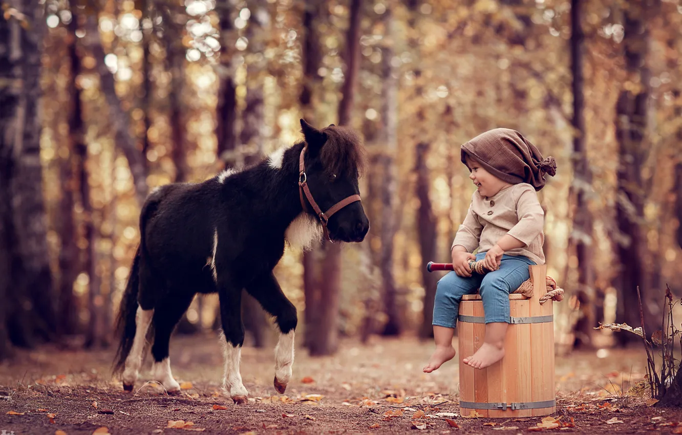 Фото обои осень, лес, деревья, природа, улыбка, животное, мальчик, малыш
