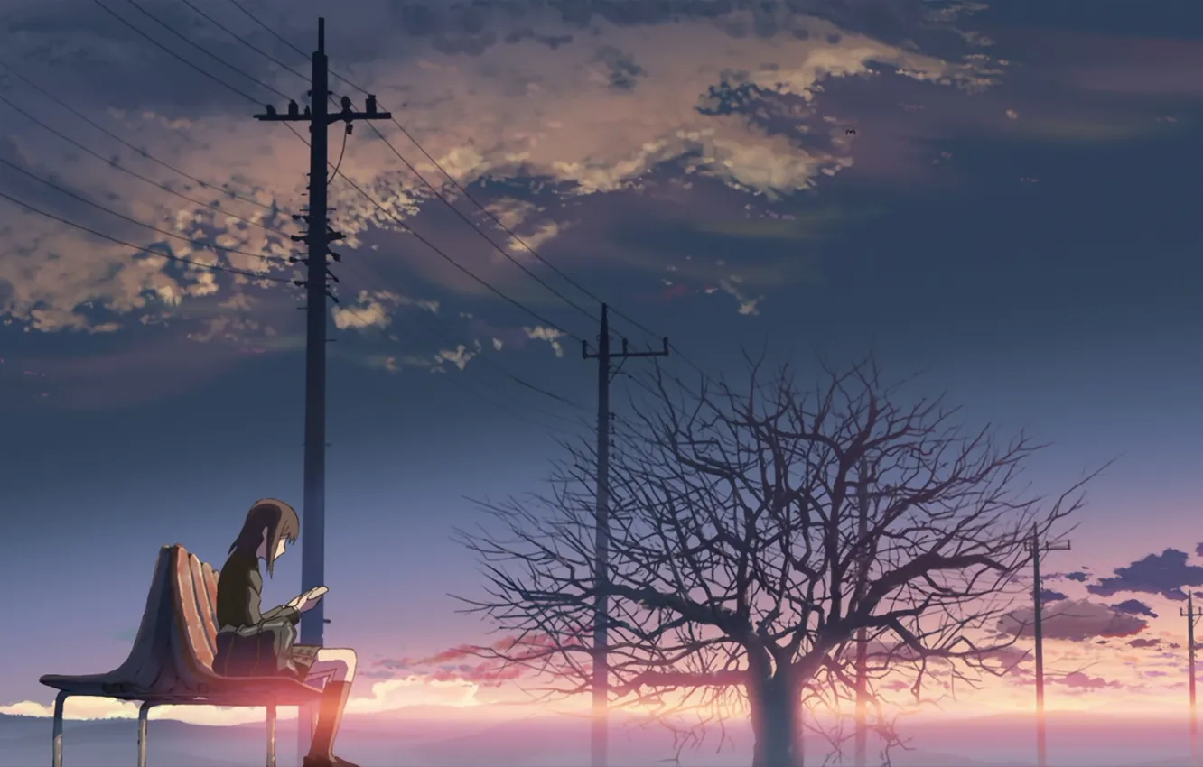 Фото обои небо, девушка, облака, скамейка, дерево