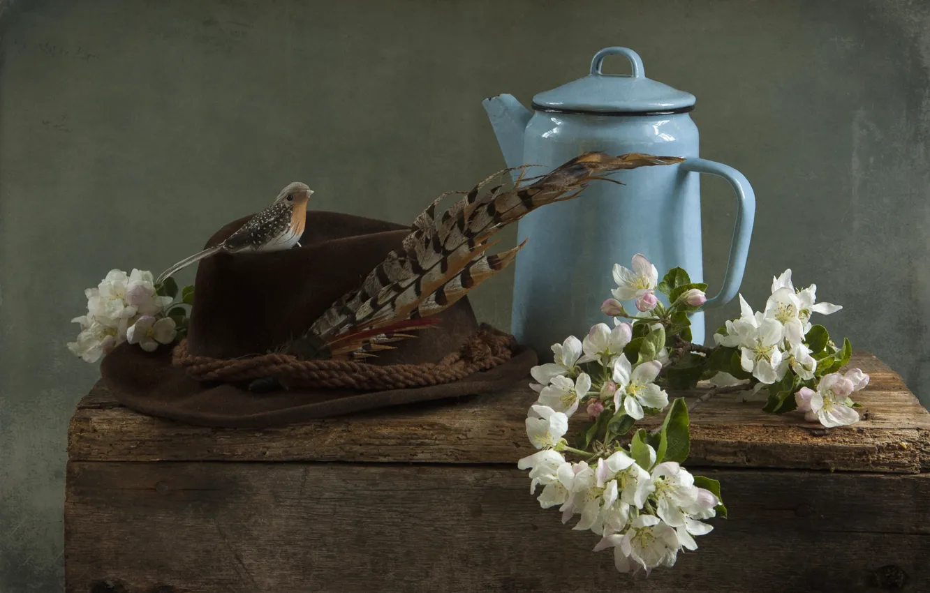 Фото обои перо, шляпа, чайник, птичка, натюрморт, яблоня