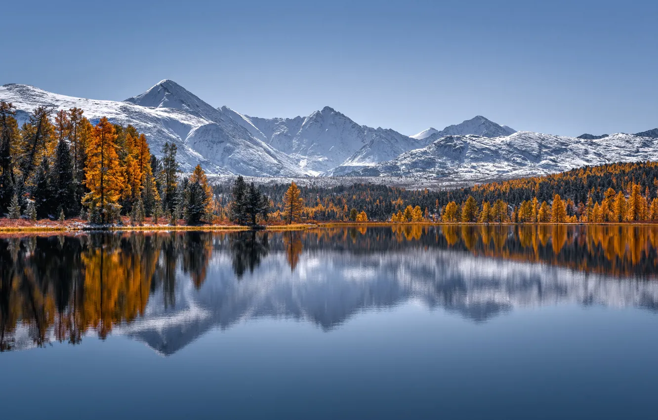 Фото обои осень, лес, деревья, горы, озеро, отражение, Россия, Горный Алтай