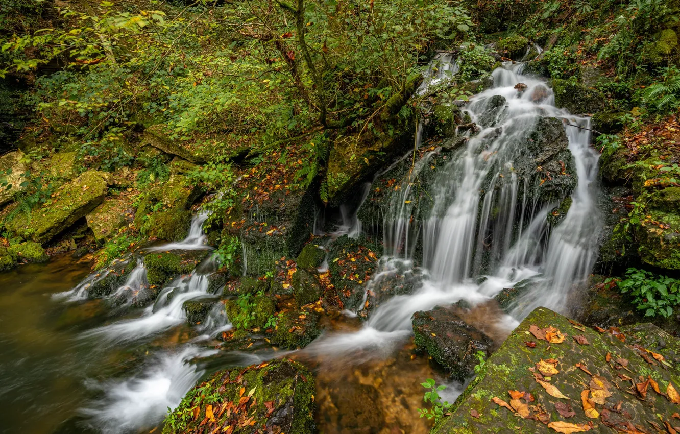 Фото обои осень, лес, водопад, каскад, Теннесси