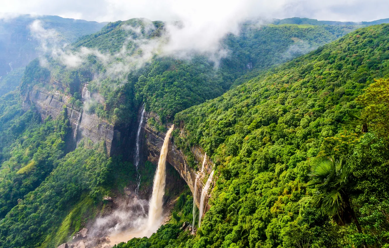 Фото обои forest, waterfall, environment, tourism, shillong, cherrapunjee