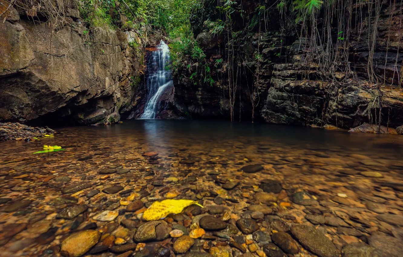 Фото обои осень, листья, деревья, камни, скалы, водопад, поток