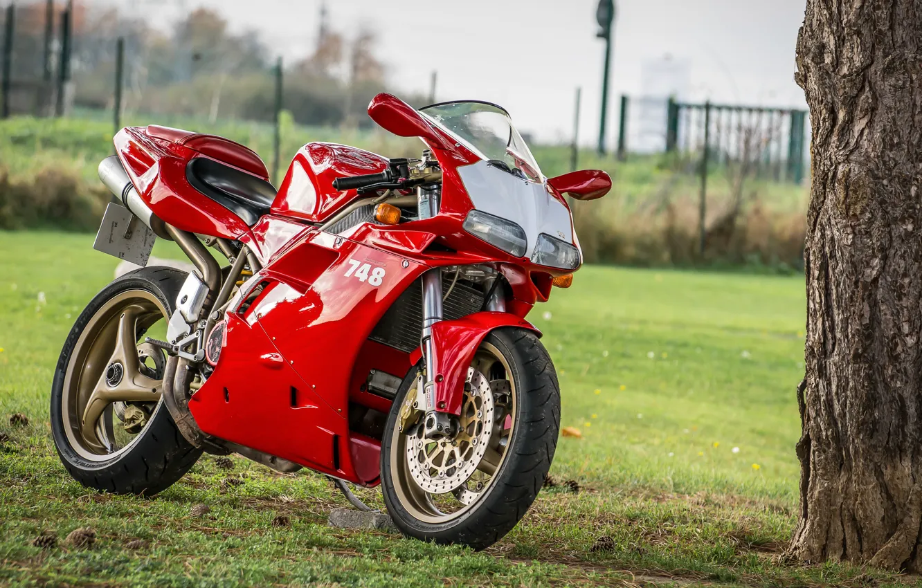 Фото обои Red, Ducati, 748