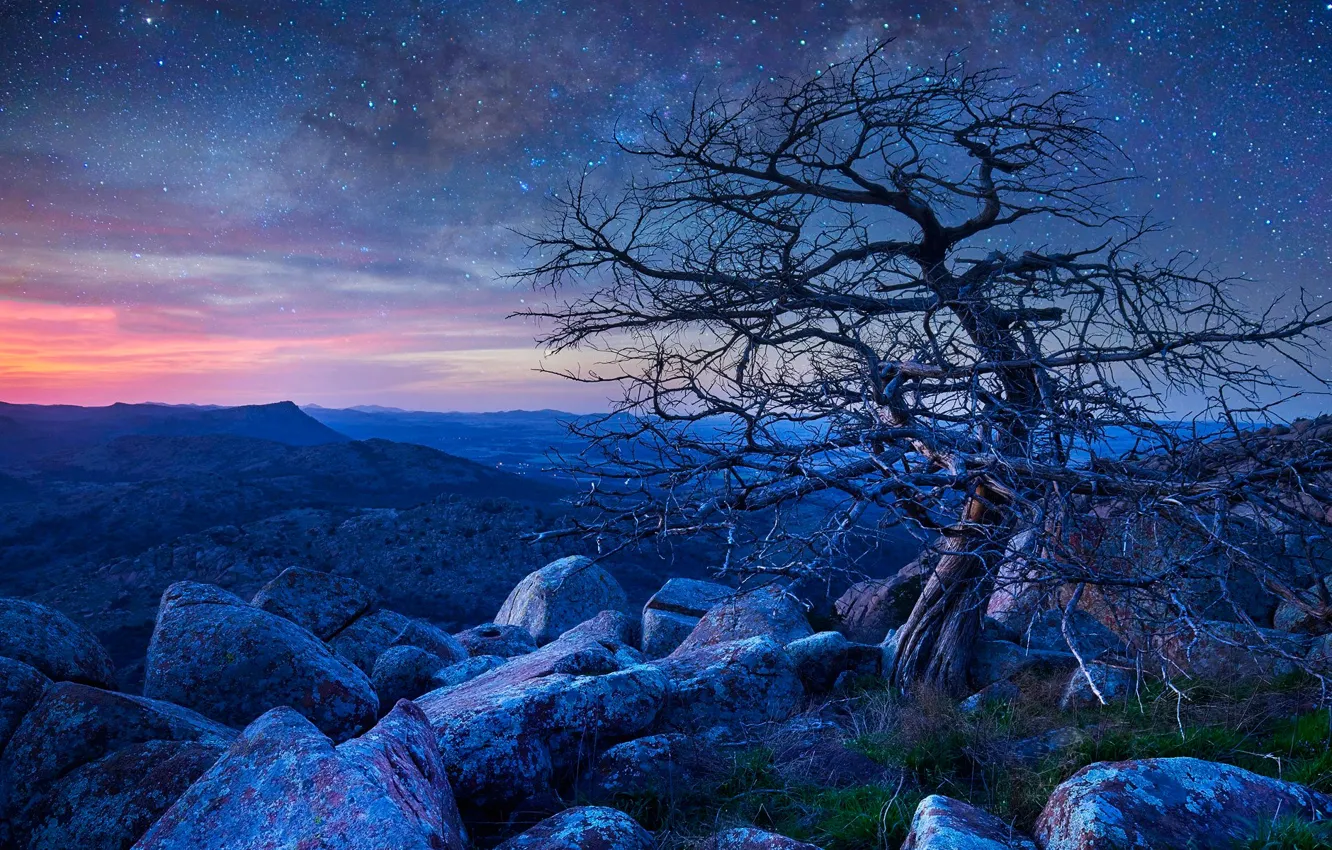 Фото обои звезды, горы, ночь, камни, дерево, скалы