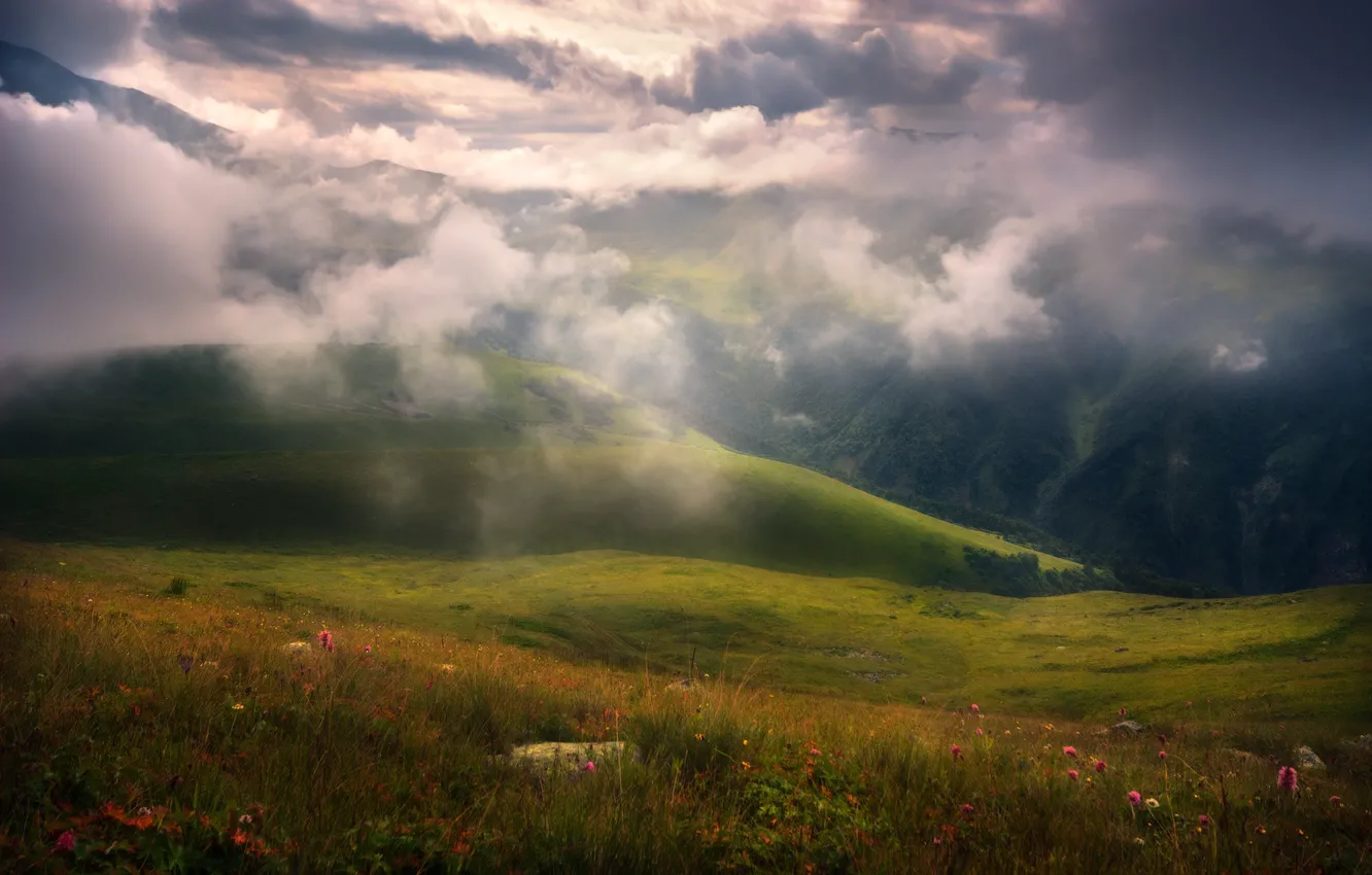 Фото обои облака, цветы, горы, туман, Природа