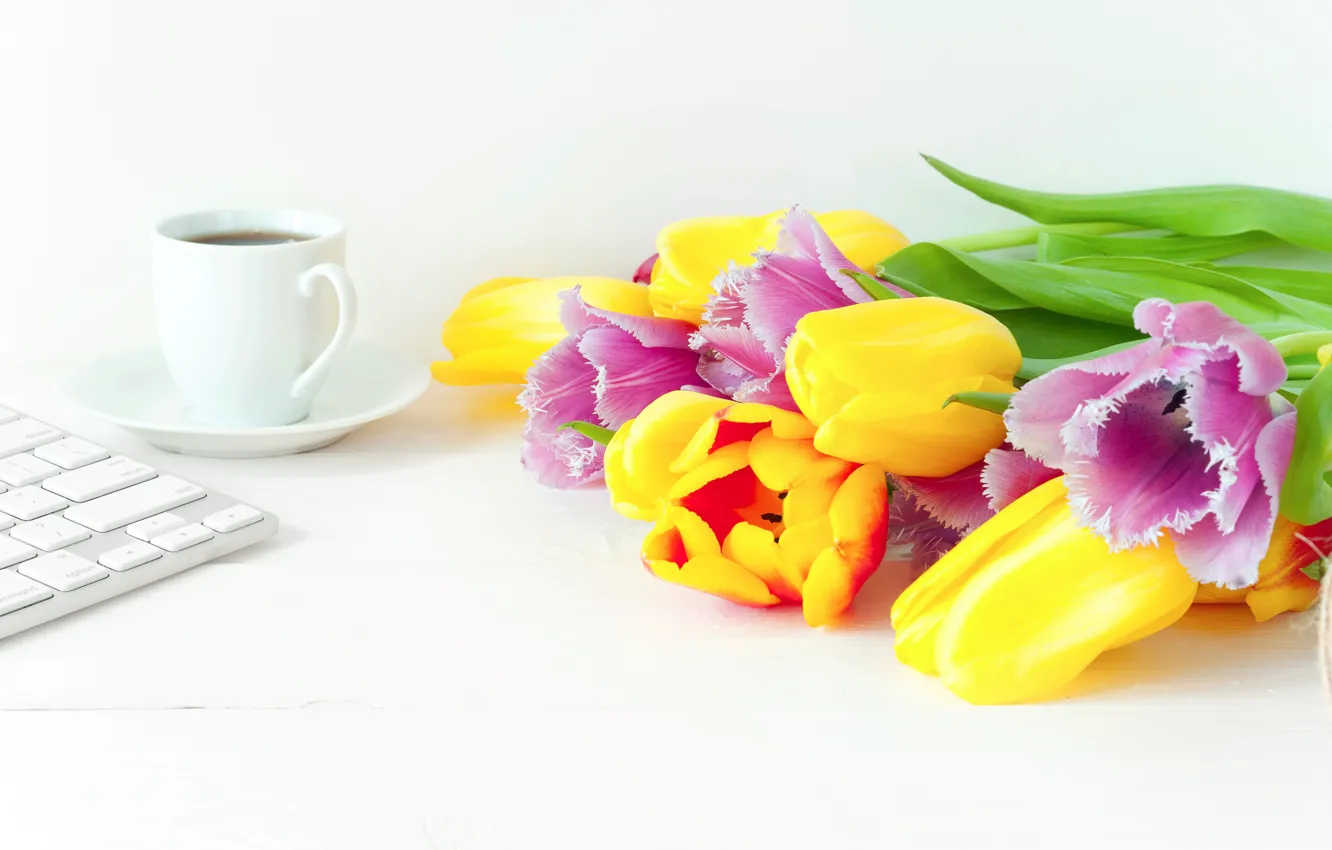 Фото обои цветы, кофе, весна, colorful, тюльпаны, fresh, wood, flowers
