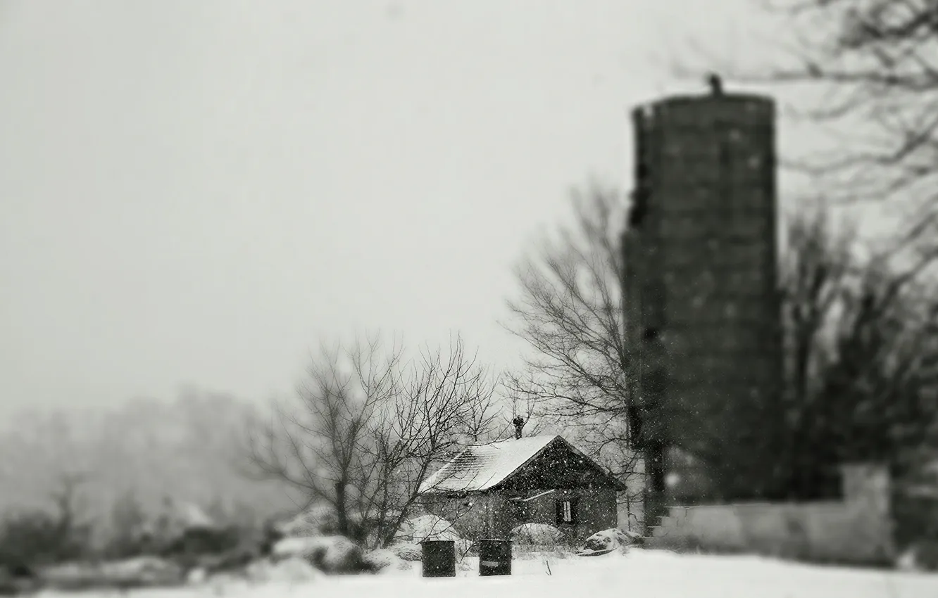 Фото обои зима, снег, деревья, ветки, дом, сарай, ферма, серое небо