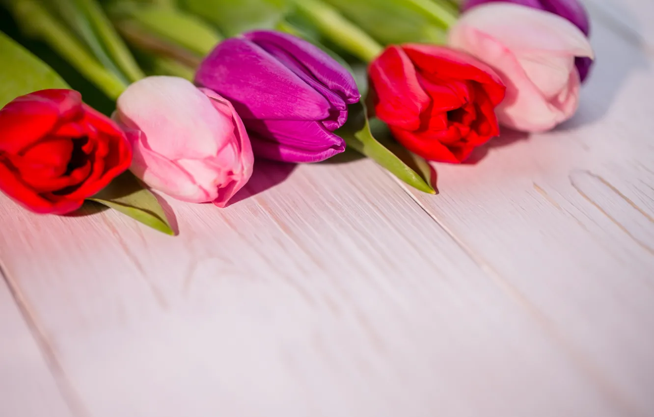 Фото обои цветы, букет, colorful, тюльпаны, red, white, wood, flowers
