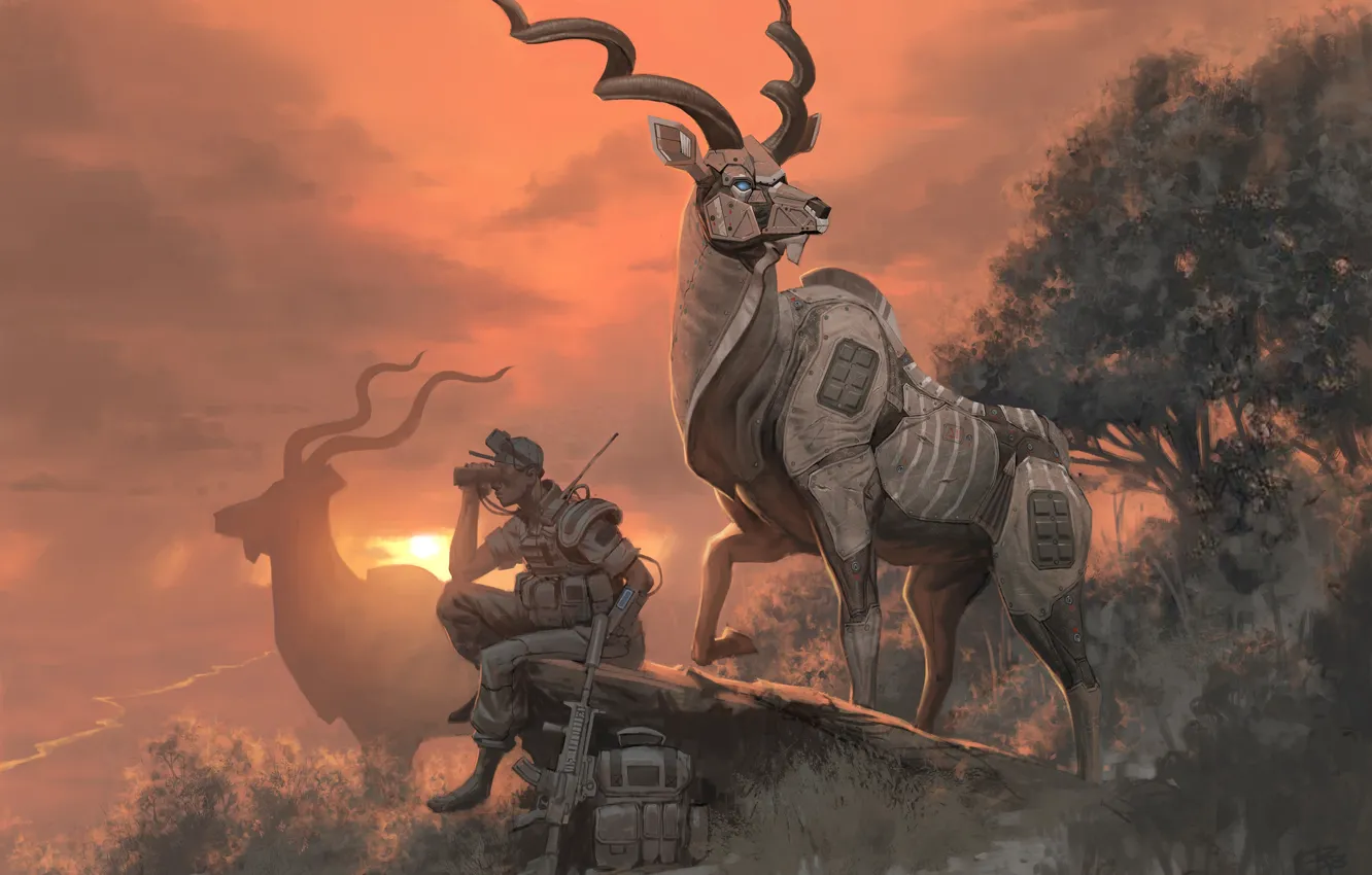 Фото обои закат, робот, солдат, рога, антилопа, Kudu