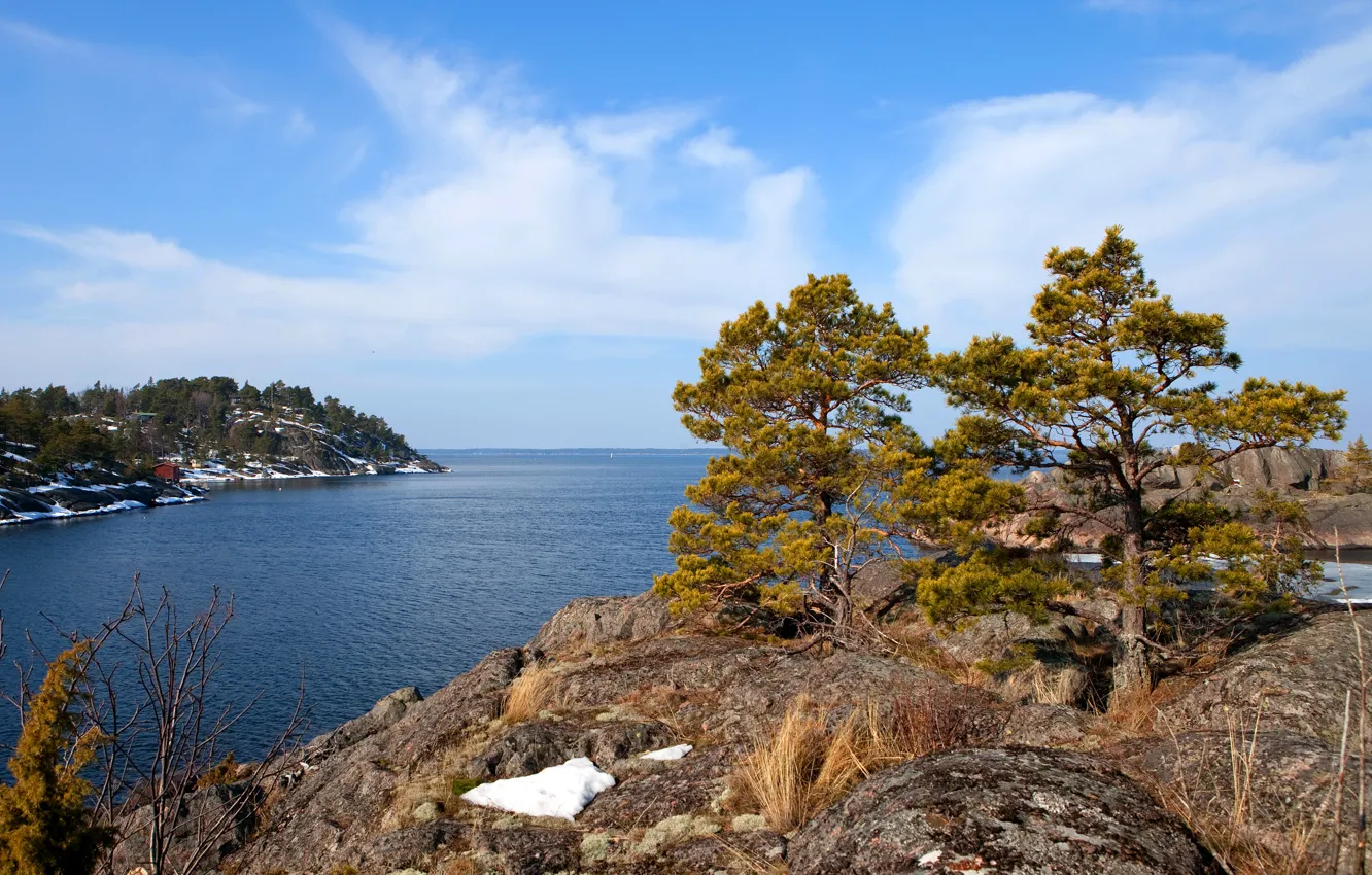 Фото обои море, небо, облака, деревья, скала, Швеция