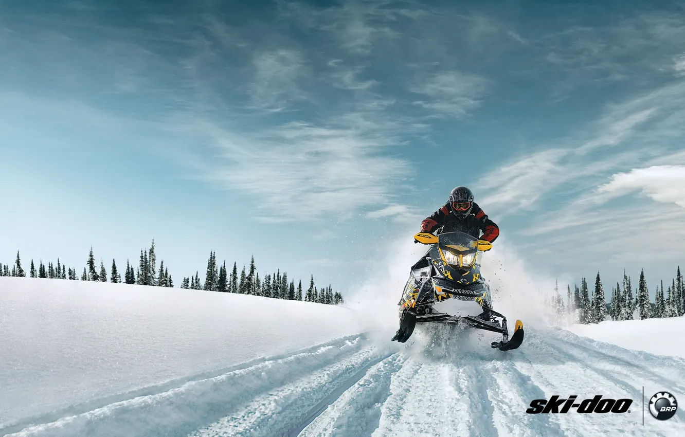 Фото обои лес, снег, жёлтый, спорт, sport, snow, снегоход, snowmobile