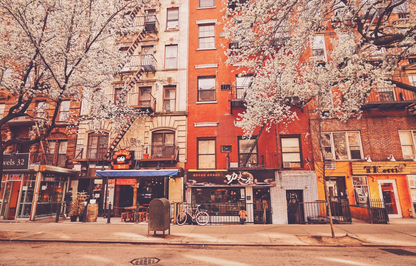 Фото обои деревья, здания, Нью-Йорк, квартиры, магазины, Соединенные Штаты