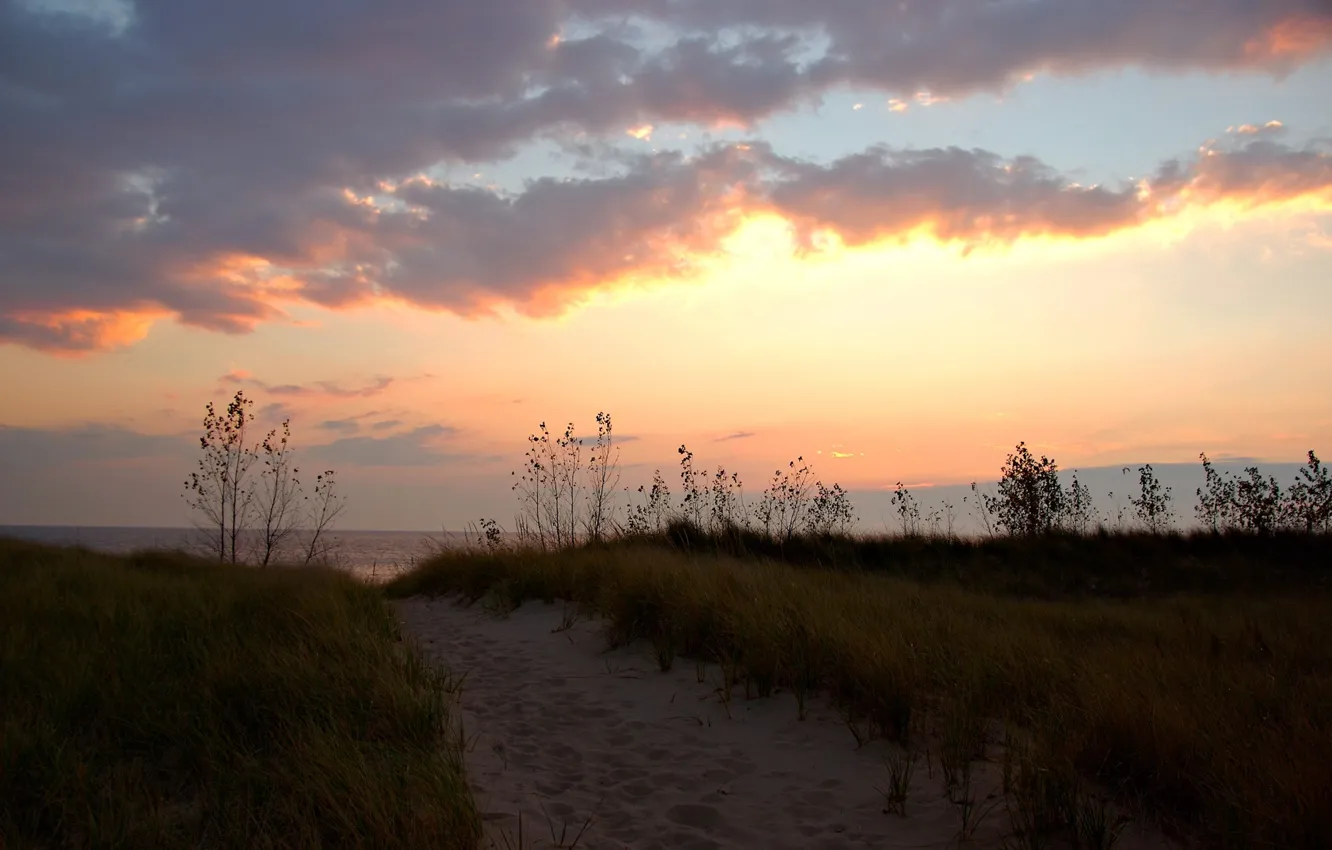 Фото обои песок, трава, облака, берег, тропа