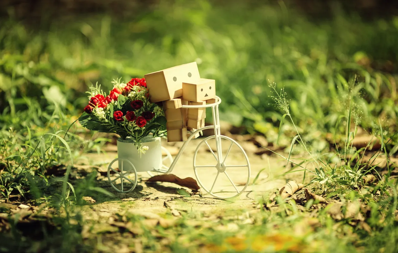 Фото обои цветы, велосипед, коробки, amazon