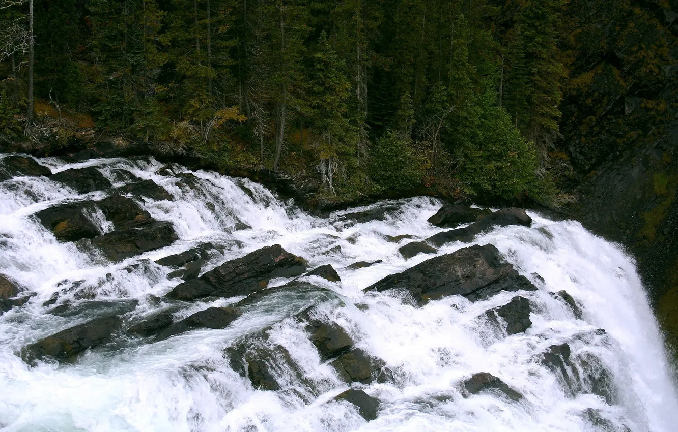 Фото обои вода, деревья, природа, обои, водопад, waterfall
