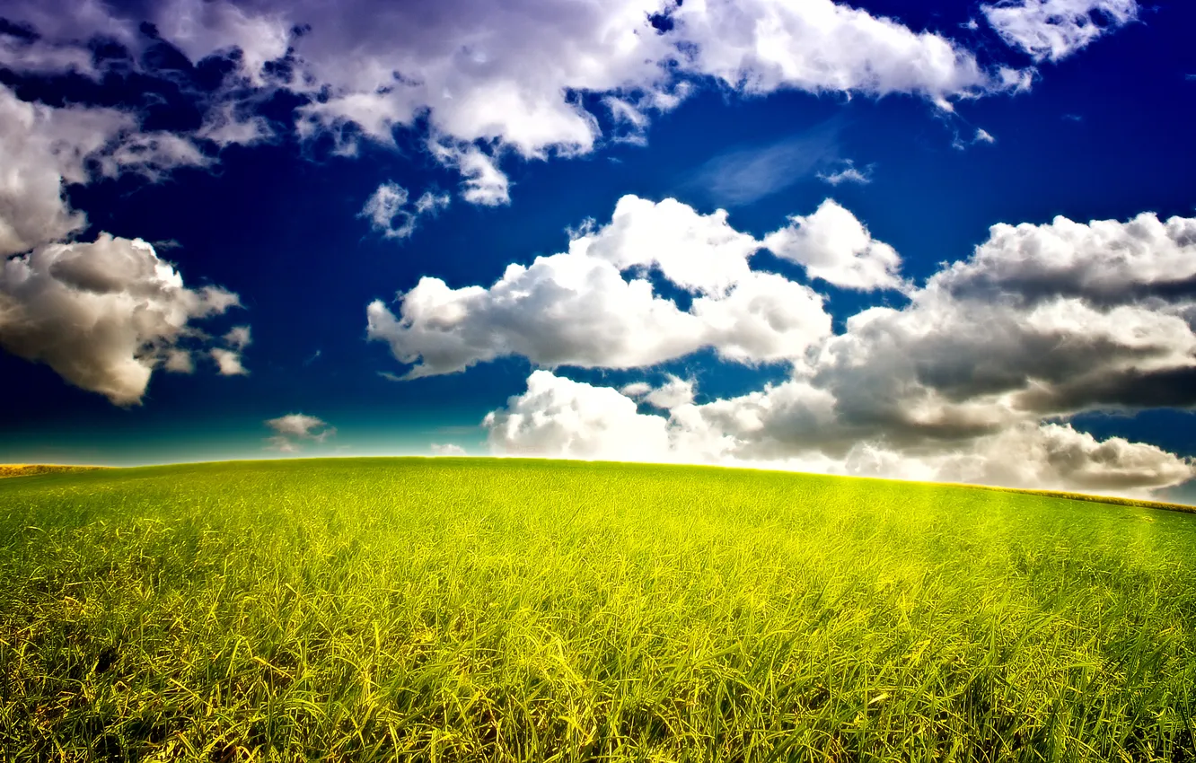 Фото обои небо, трава, облака, природа, горизонт