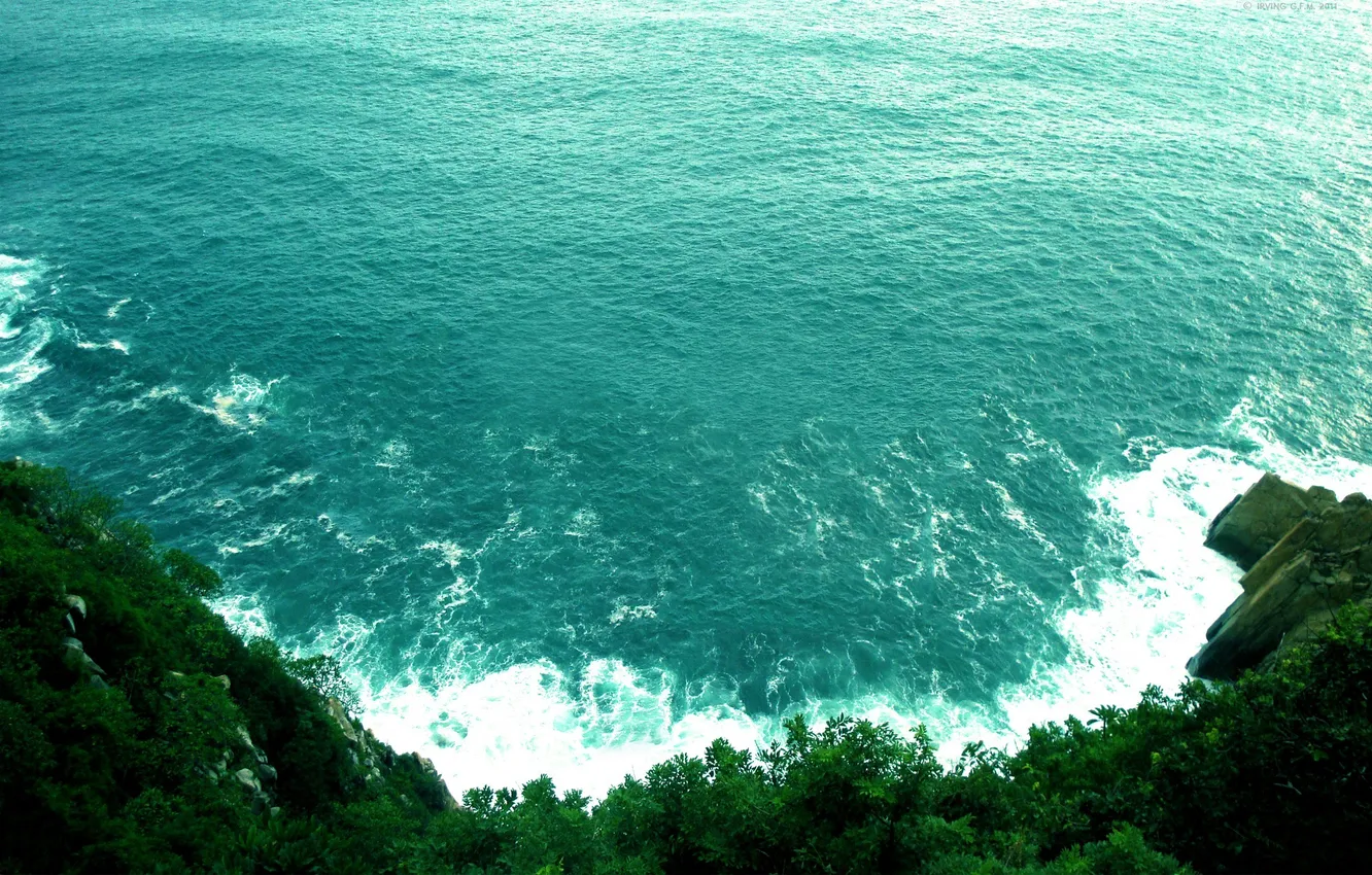 Фото обои море, волны, вода, деревья, камни, скалы, берег, вид
