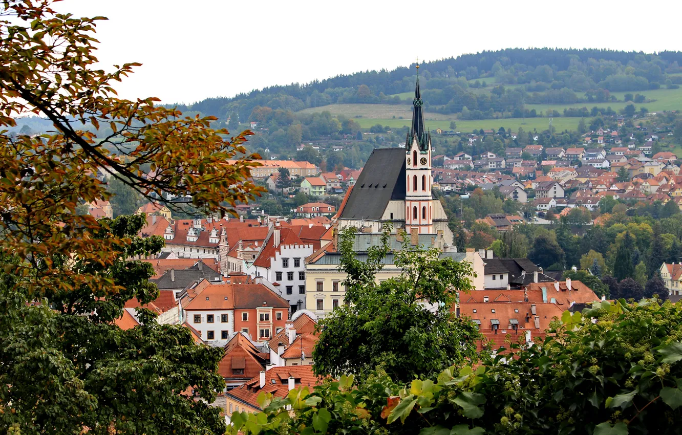 Фото обои деревья, ветки, листва, дома, крыши, Чехия, городок, Cesky Krumlov