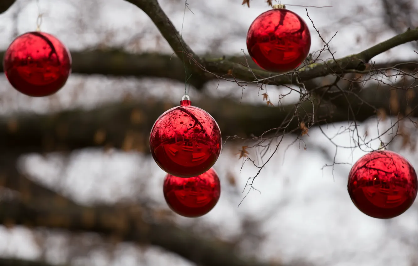 Фото обои праздник, игрушки, Christmas spirit