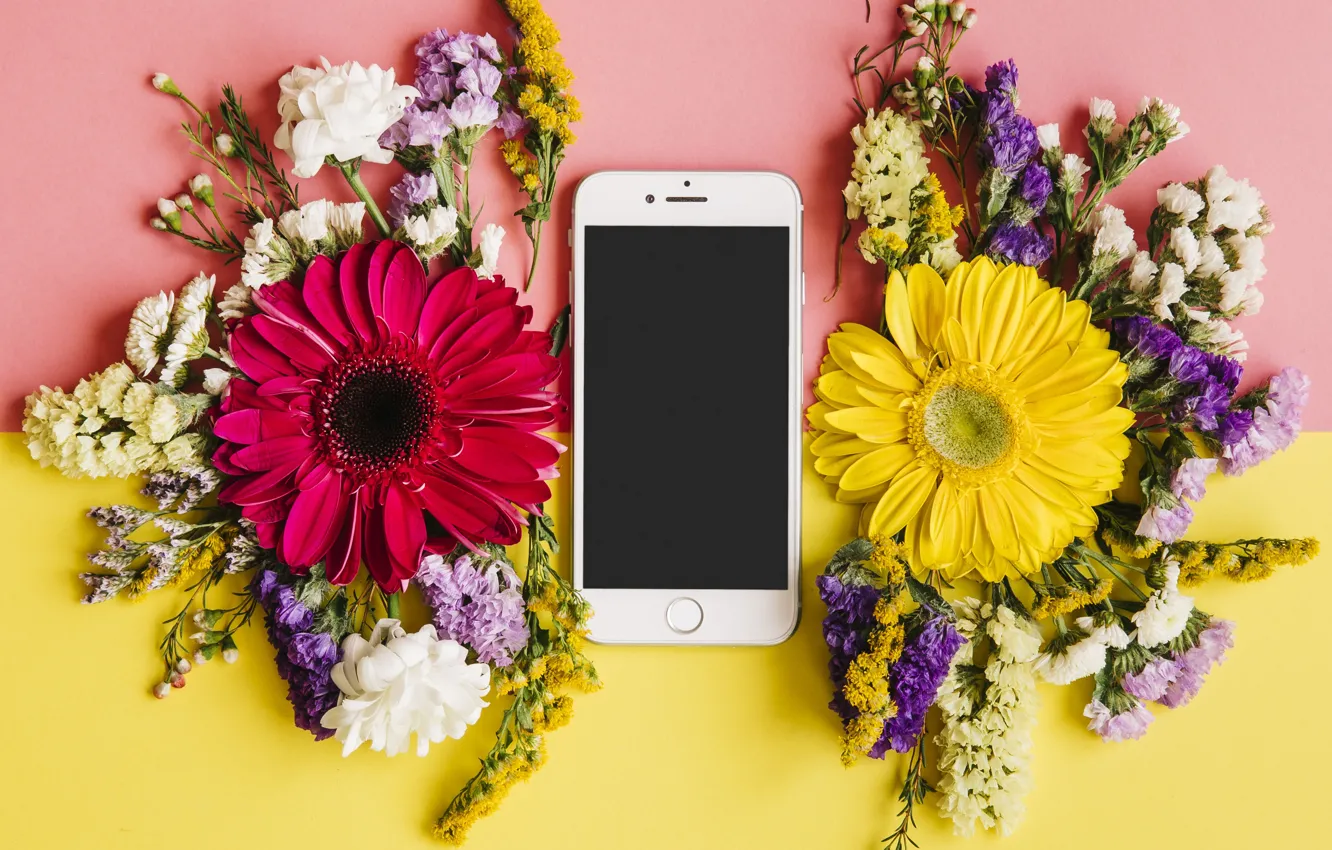 Фото обои цветы, весна, colorful, хризантемы, flowers, смартфон, spring, bright