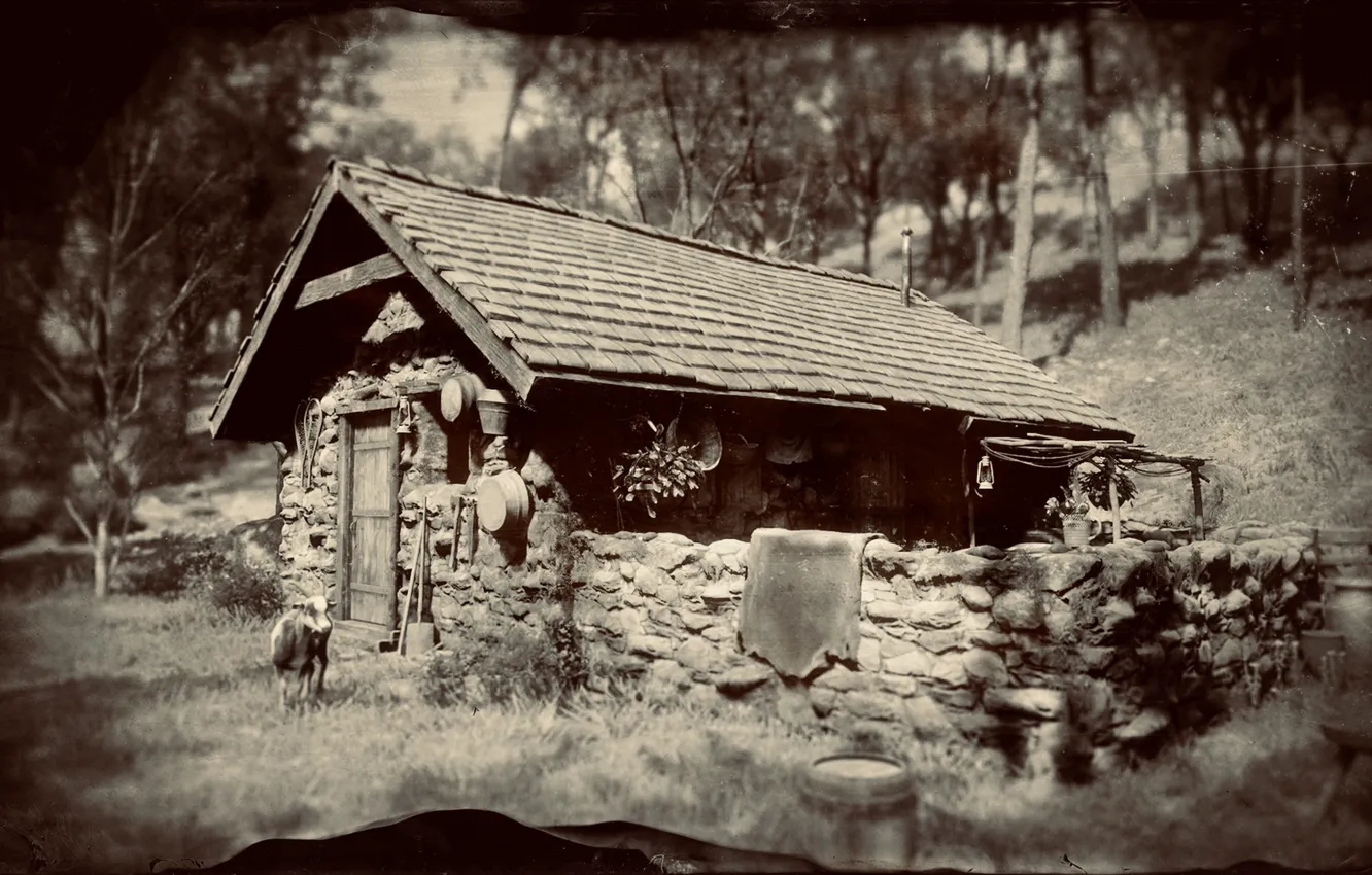 Фото обои HDR, House, Wood, Wall, Game, Trees, Animal, UHD