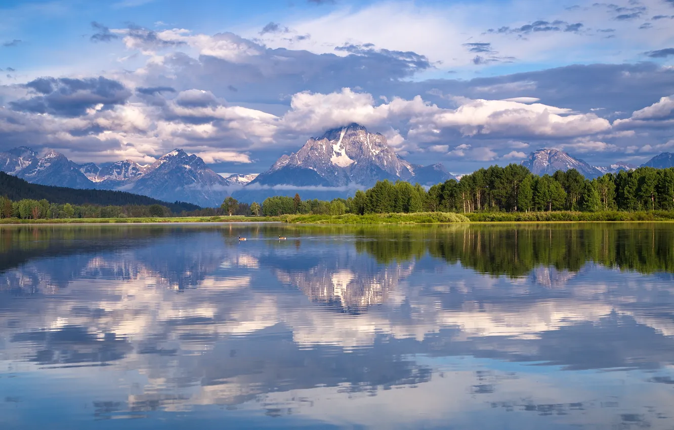 Фото обои лес, облака, отражение, Вайоминг, Wyoming, Гранд-Титон, Grand Teton National Park, Mount Moran