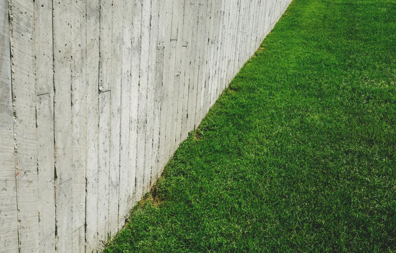 Фото обои трава, город, газон, минимализм, бетон, железобетон