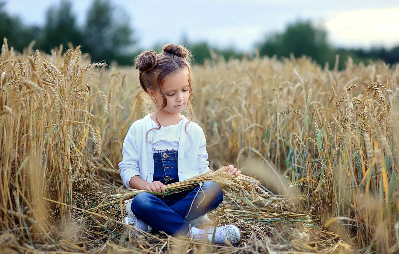 Фото обои поле, природа, девочка, колосья, ребёнок, локоны, пучки, Виктория Дубровская
