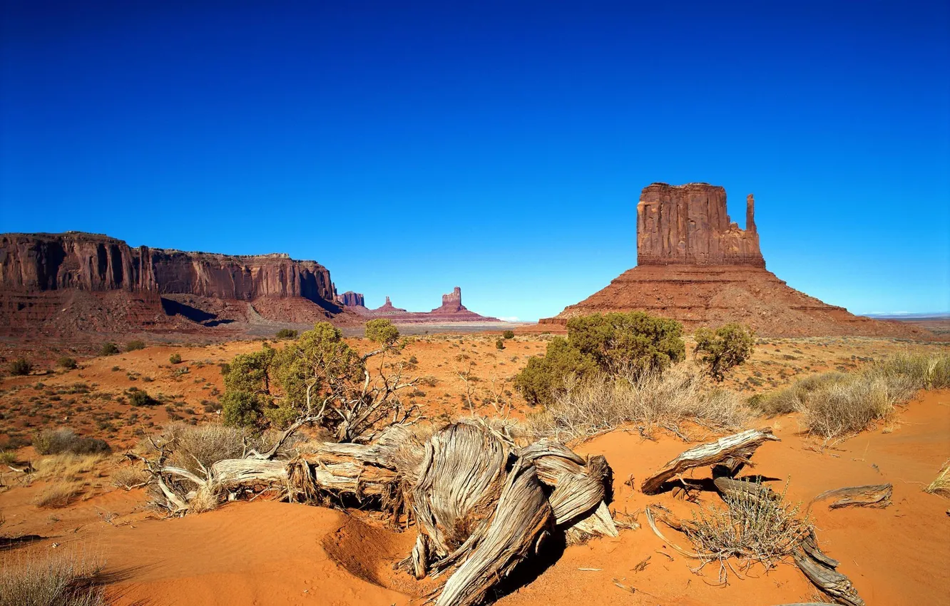 Фото обои песок, деревья, скалы, пустыня, сухие, каньон
