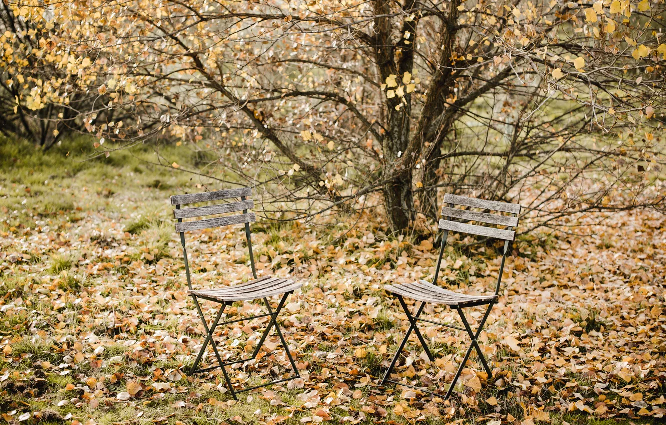 Фото обои осень, листья, стулья