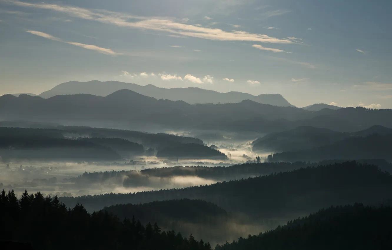 Фото обои лес, горы, туман, утро, долина